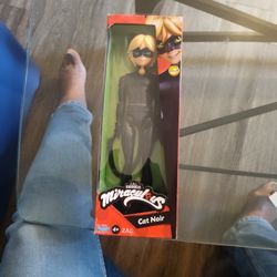 Miraculous  Cat Noir Doll
