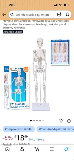 17.7-Inch Mini Human Skeleton Model for Anatomy Study Movable arms and legs, removable skull cap and sturdy display stand for classroom teaching, desk