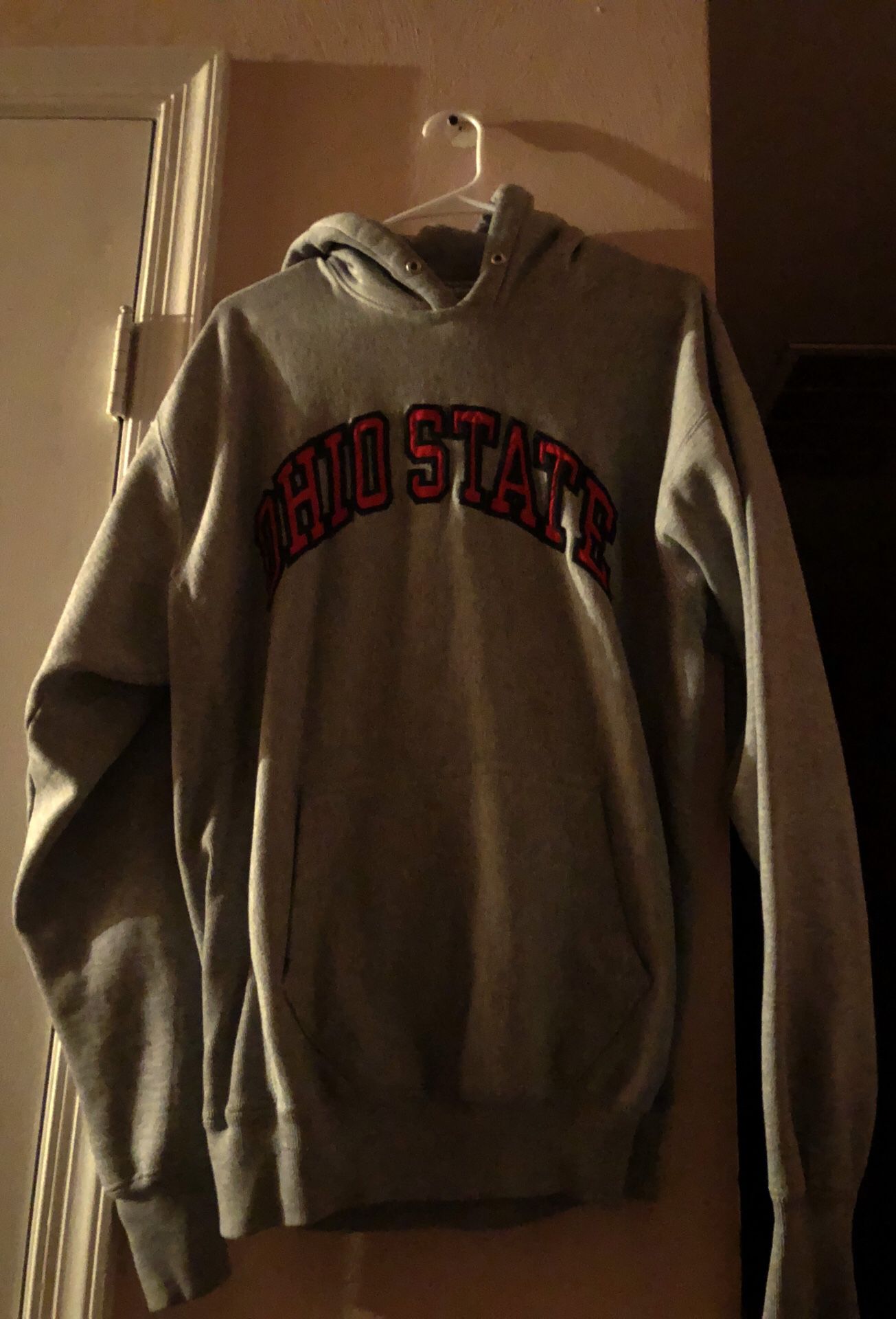The Ohio State hoodie