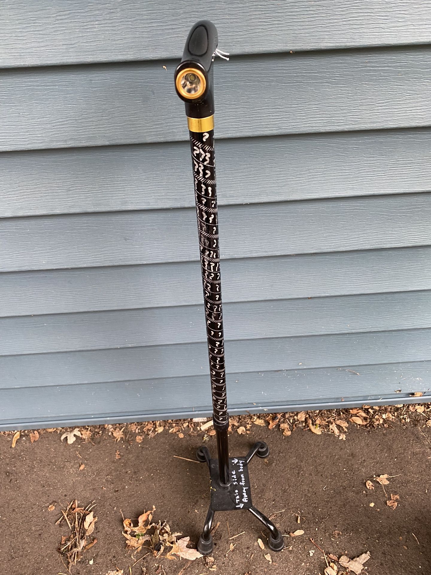 ‘Night Thunder’ Free Standing Walking Cane/with light