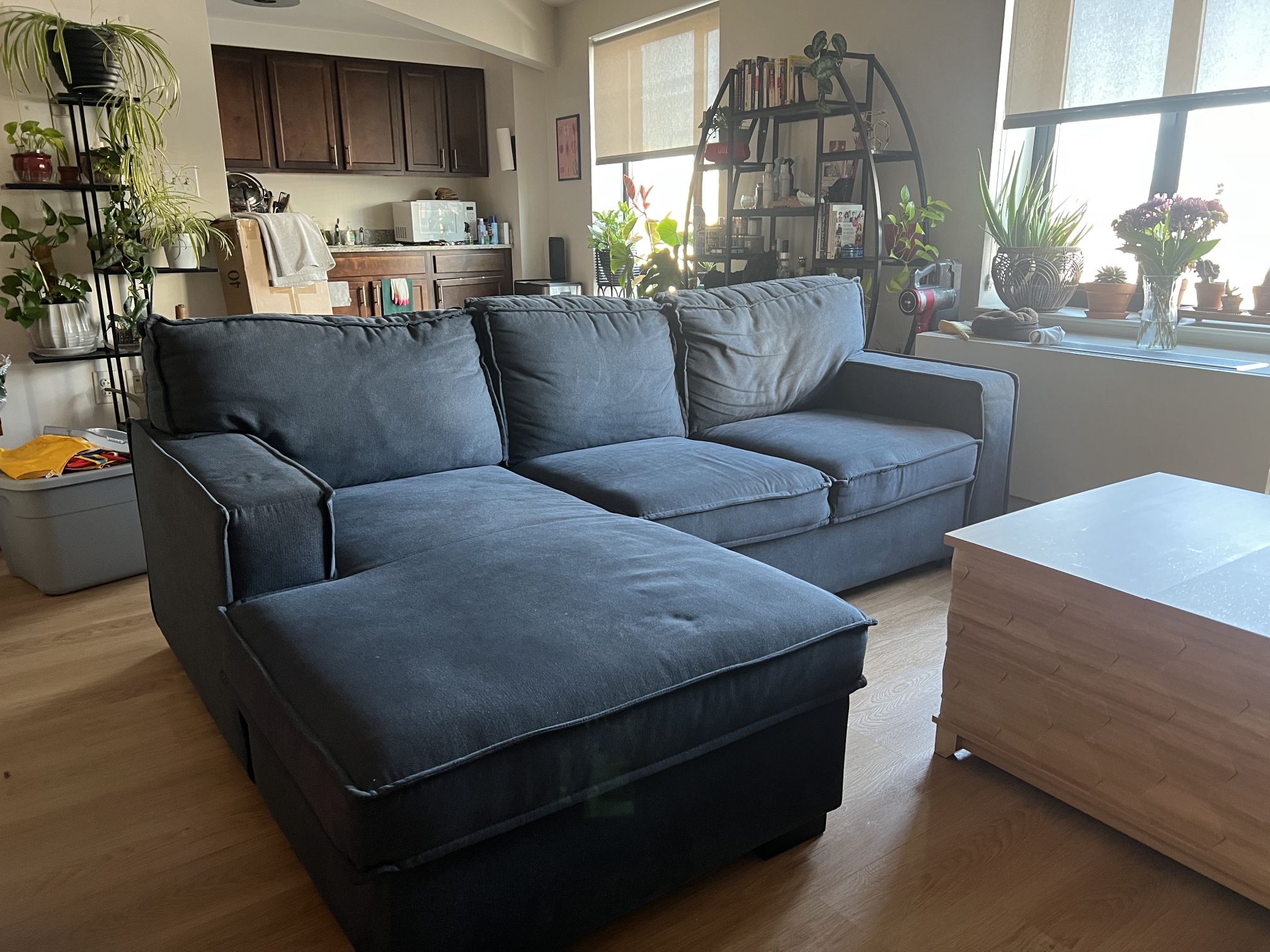 Left Facing Sectional