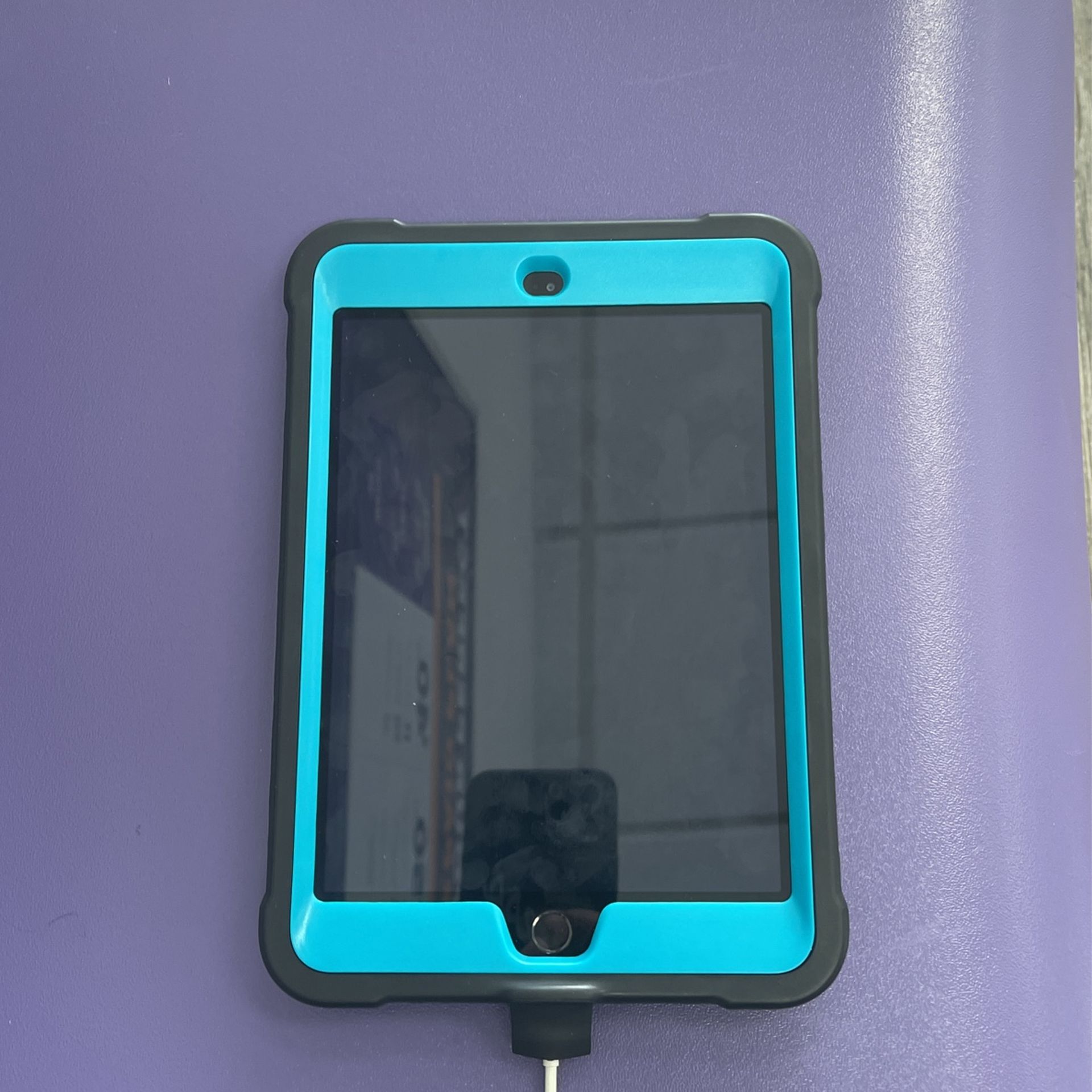 iPad Mini 3