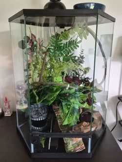 30 gal terrarium & decor w/ automatic temp system