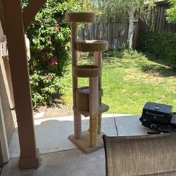 Cat Tree