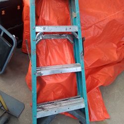 Werner 3' Fiberglass Ladder 