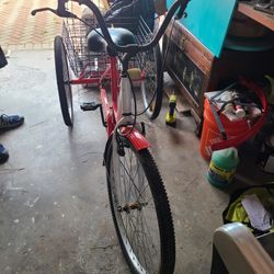 Royal London Tricycle