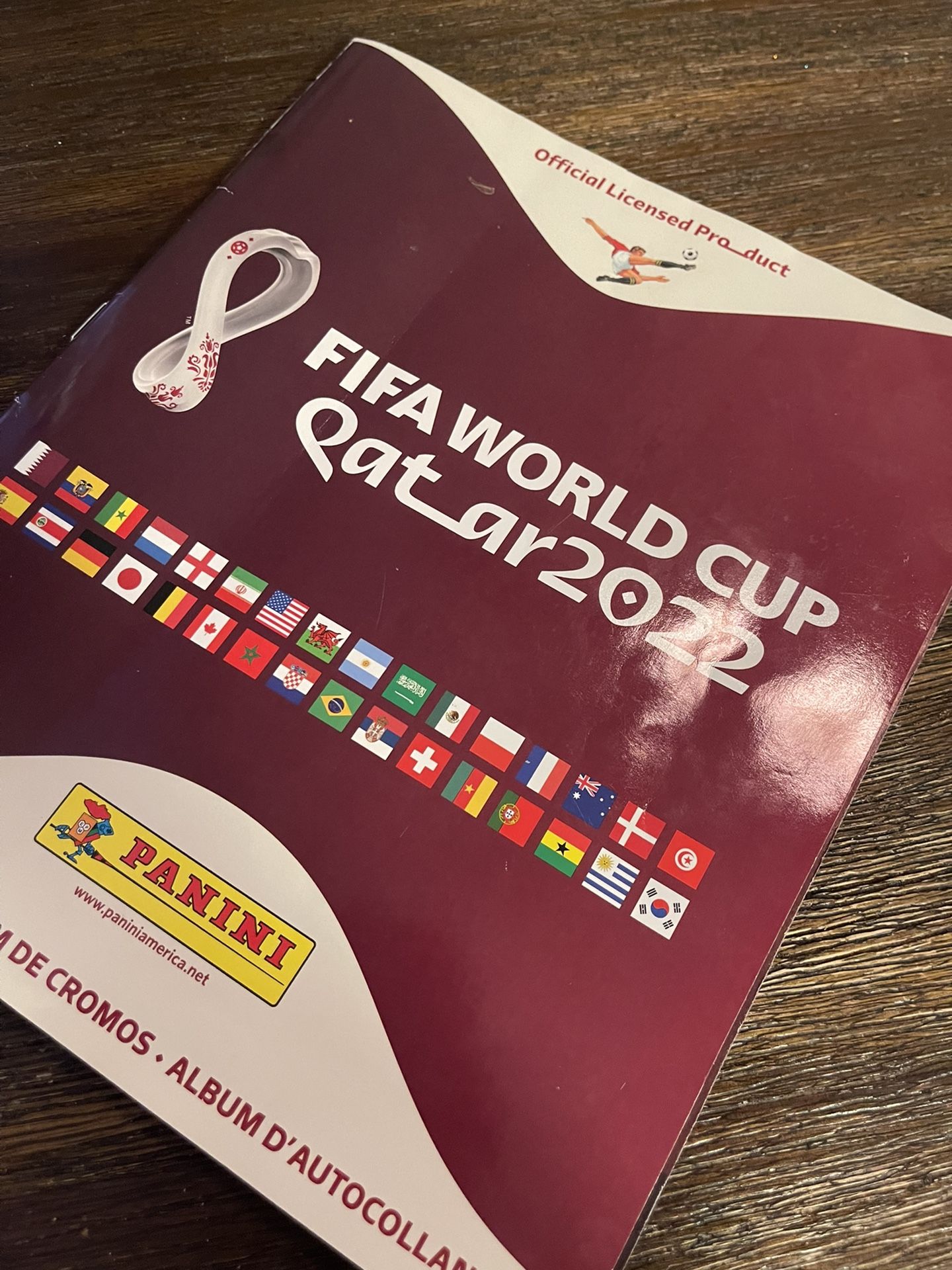 Qatar FIFA World Cup 2022