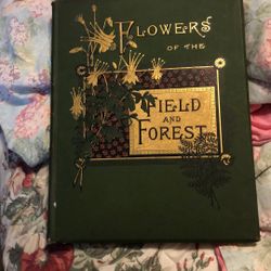 Vintage Book.  Flowers Of The Field And Forest