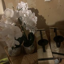 House decore