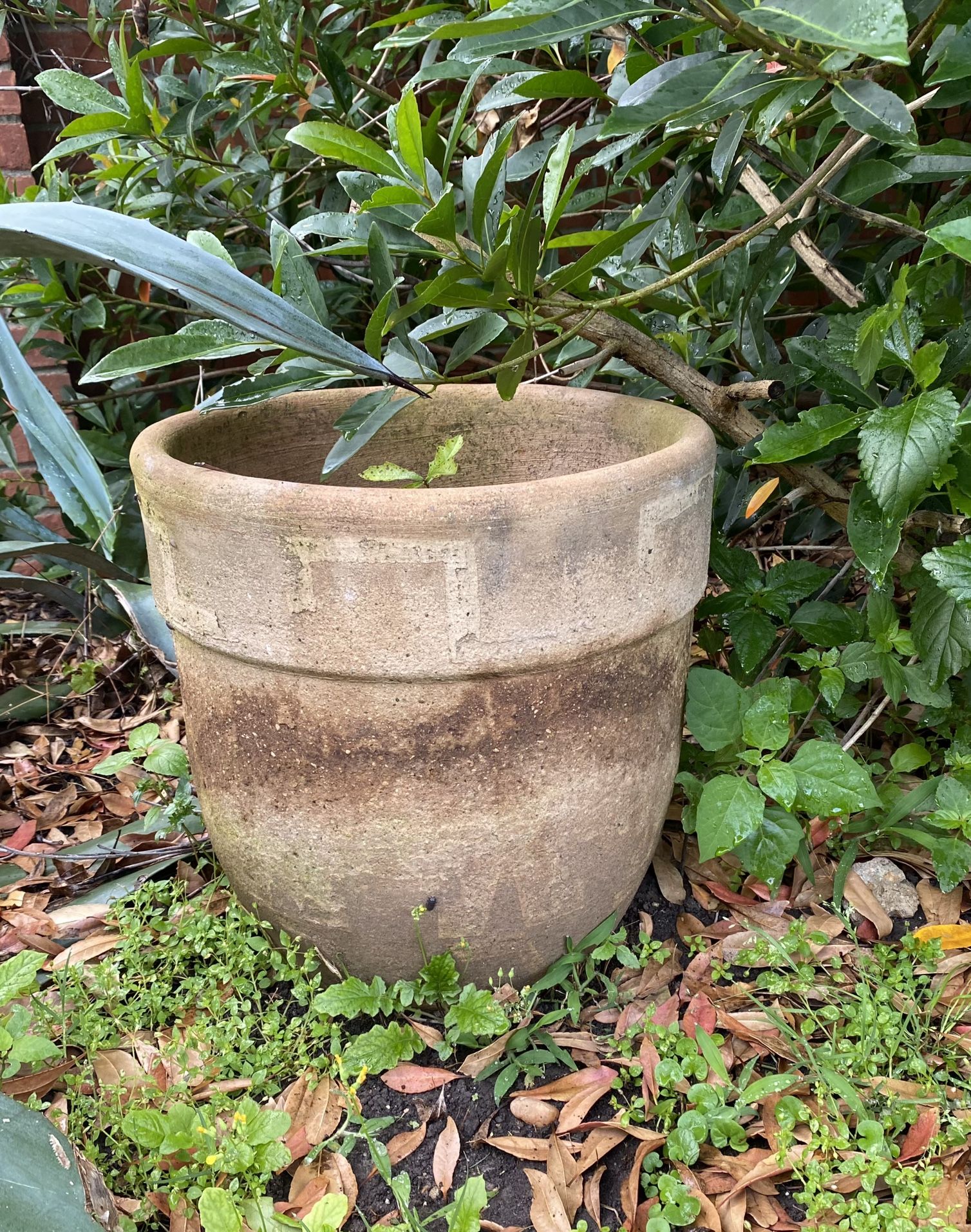 Outdoor Plant Pot/Planter