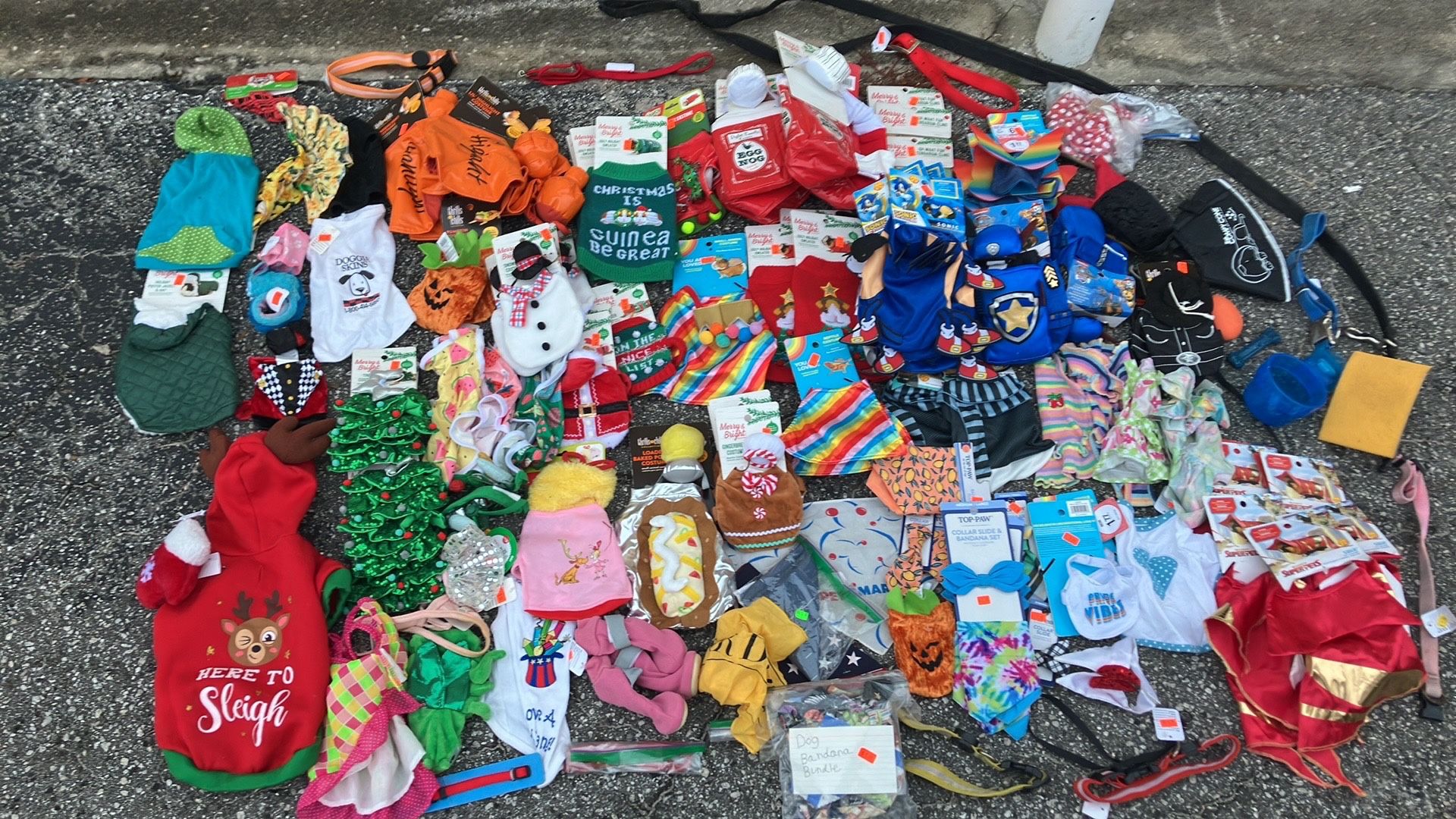 Pet Costumes/Items (Lizard, Guinea Pig, Cat, Dog)