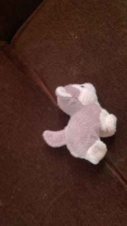 Husky bike accessory