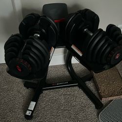 SelectTech Dumbbells 1090