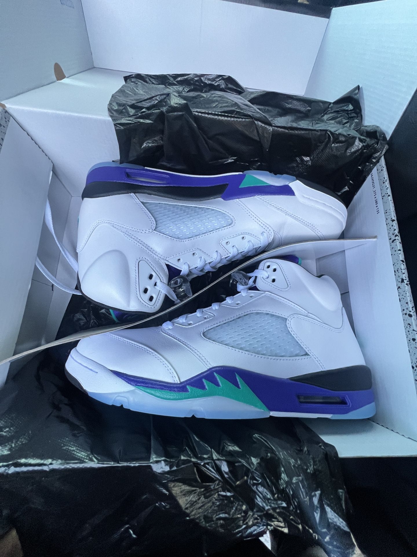 Retro Air Jordan 5s (Grapes) Size 12.5