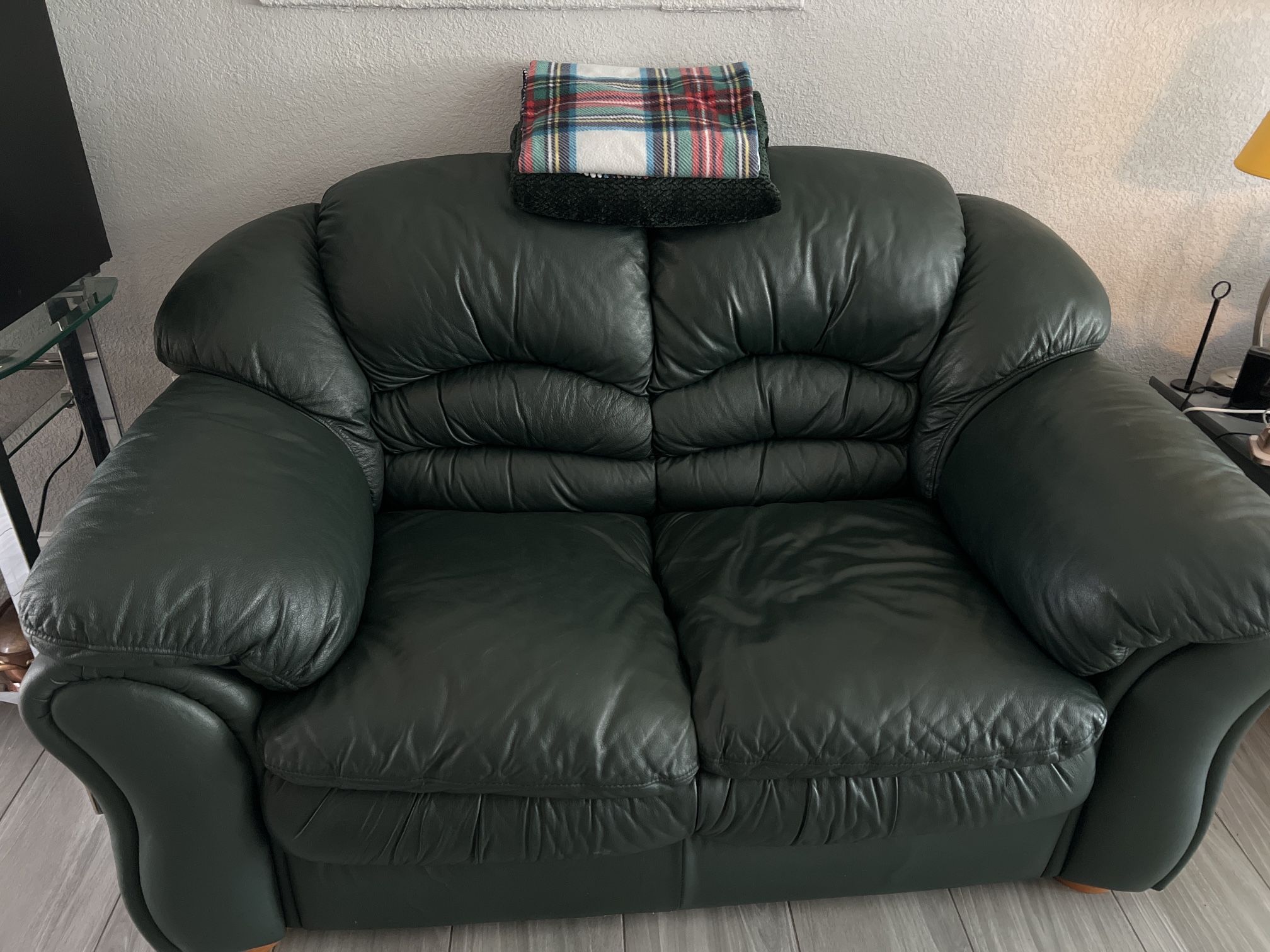 Green Leather Sofa & Loveseat Set – $100 MUST GO