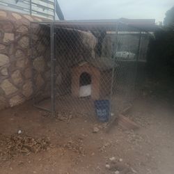 Dog Kennel 