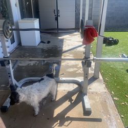 2 Bars, Weights, And Squat Rack