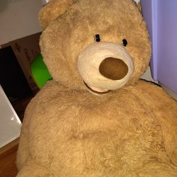 Oversized Life Sized Bear
