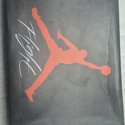 New Jordan Shoes Size 12