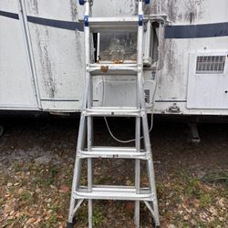 Werner Gorilla Ladder 