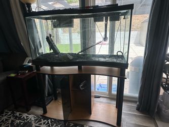 90 gallon aquarium with stand