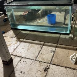 50 gallon fish tank 