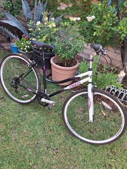 Woman Bike Exellent Condition Firm