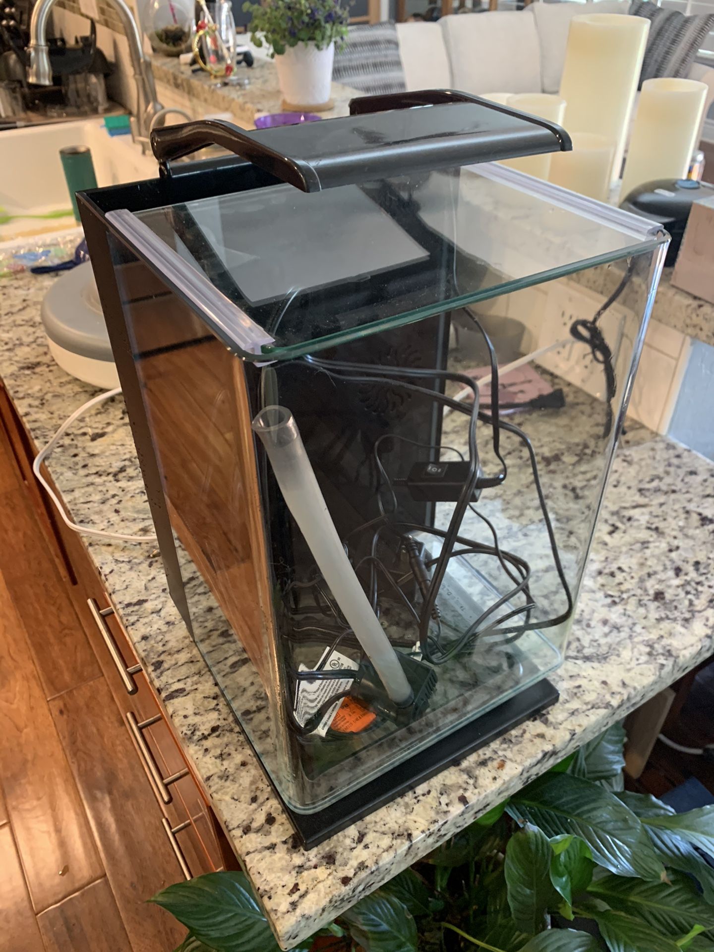 5 gallon freshwater fish tank