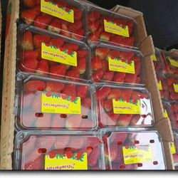 Strawberries 