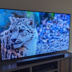 LG 4k OLED 65 In 120hz TV