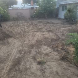 Free Soil