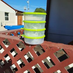 New Tupperware Big Wonders Large 4 piece bowls 🥣 for $32.00 pick-up only, No entregas a Domicilio Bilingual Hablo Español