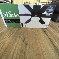Ceiling Fan 