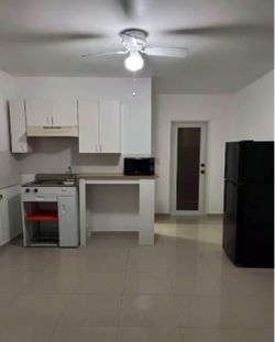 Apartment studio