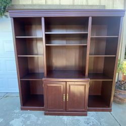 entertainment center / large storage shelve