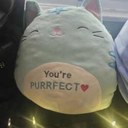 Squishmellows 