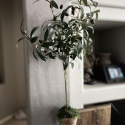 Fake little Tree