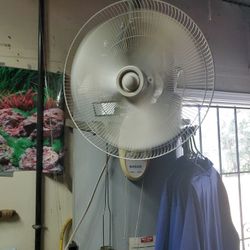 Industrial Pull Switch Oscillating Fans