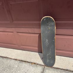 Skateboard 🛹 