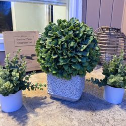 FREE Decorative fake plants - 1 large, 2 small