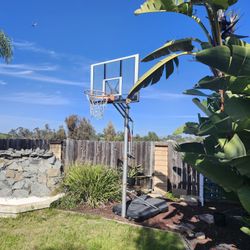 Basketball Court Hoop With Shatter Proof Back Board,Adjustable Height. Reebok.