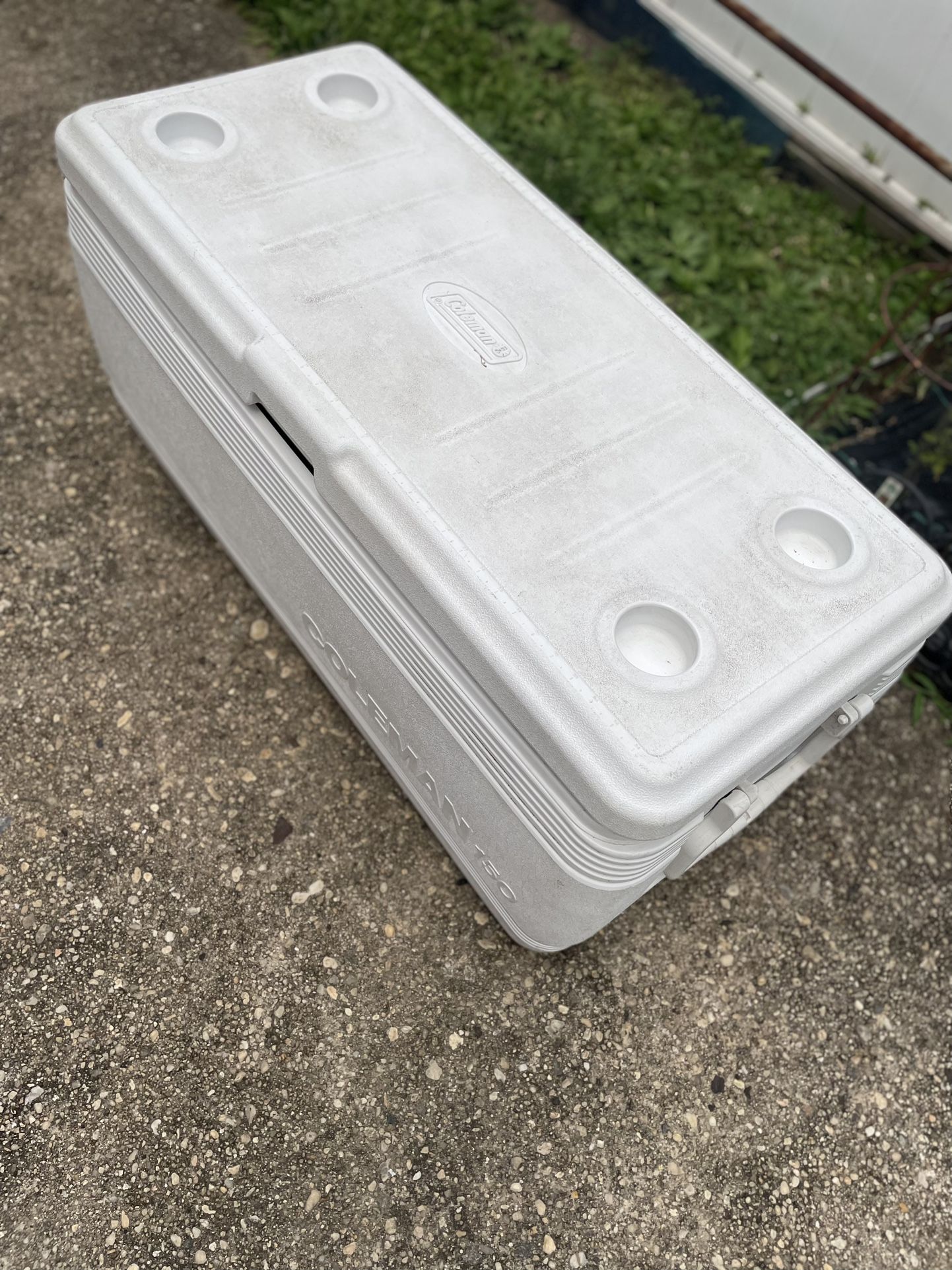 Coleman Huge Cooler