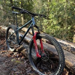Hardtail MTB Stanton Swithch9er