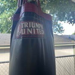 Professional Boxing Bag