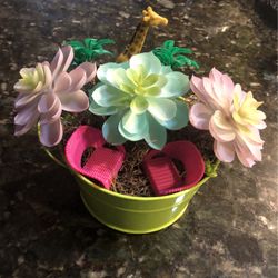 Succulent Decoration 