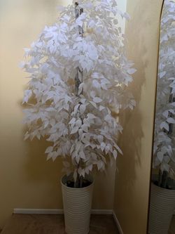 White ficus tree artificial