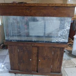 Aquarium Fish Tank