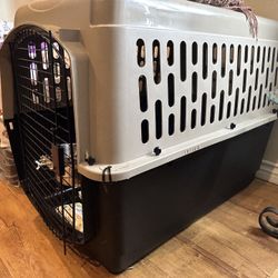 Dog Kennel