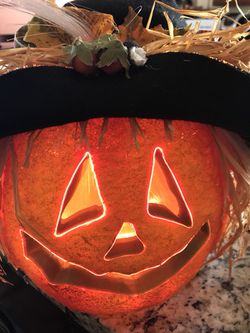 Light up cat skull and pumkin large Halloween decoration