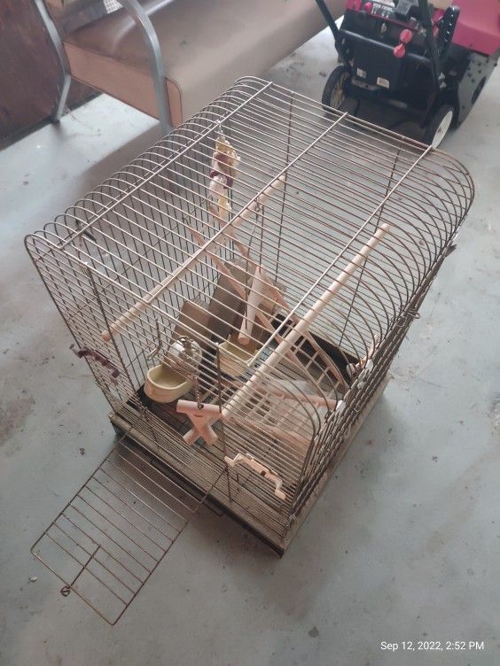 Bird Cage